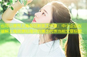 中小企业在缓解上海资源枯竭中的潜力